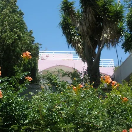 Camelia * Plakias